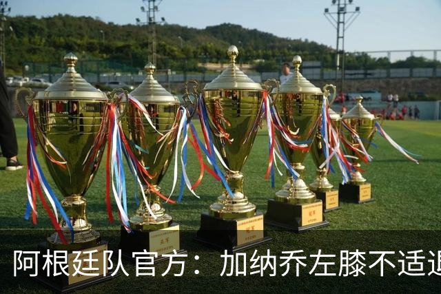 阿根廷队官方：加纳乔左膝不适退出本期国家队